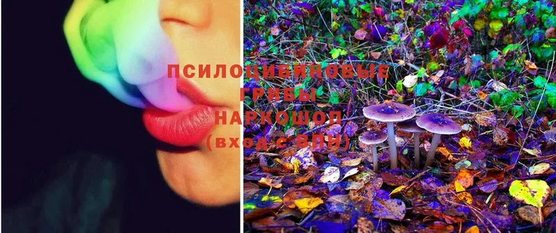 shop наркотические препараты  Рязань  Галлюциногенные грибы MAGIC MUSHROOMS 